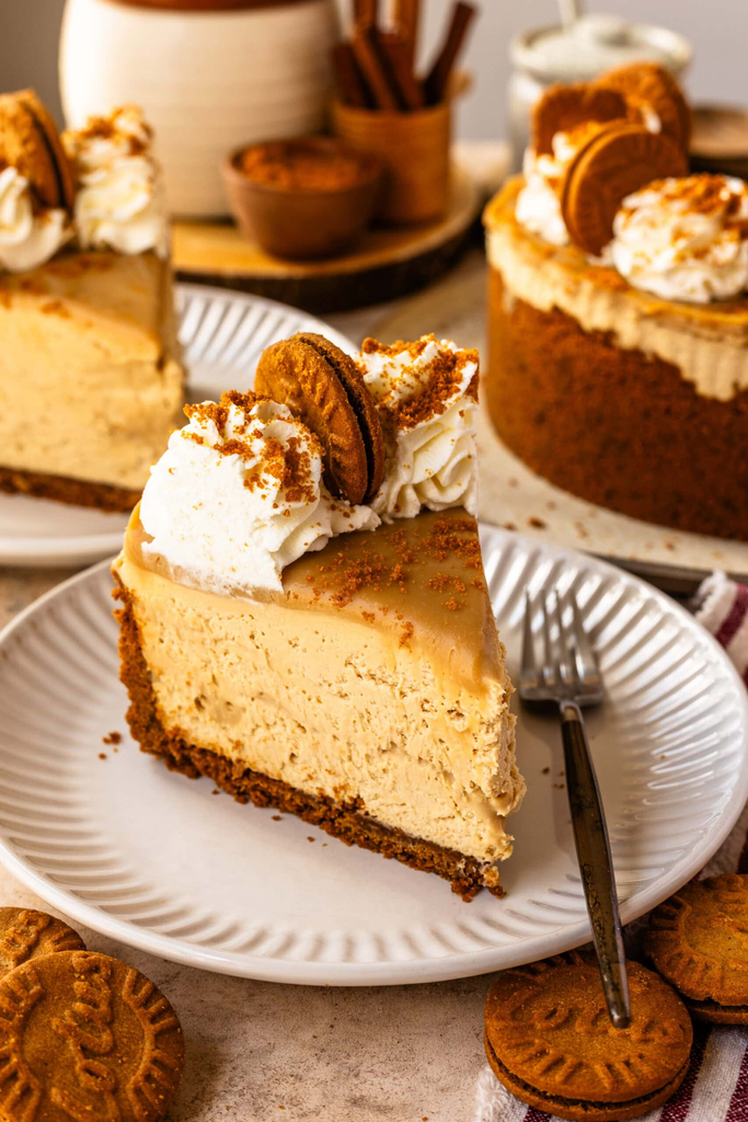 No-Bake Biscoff Cheesecake : Best guide 2026 7 No-Bake Biscoff Cheesecake : Best guide 2026